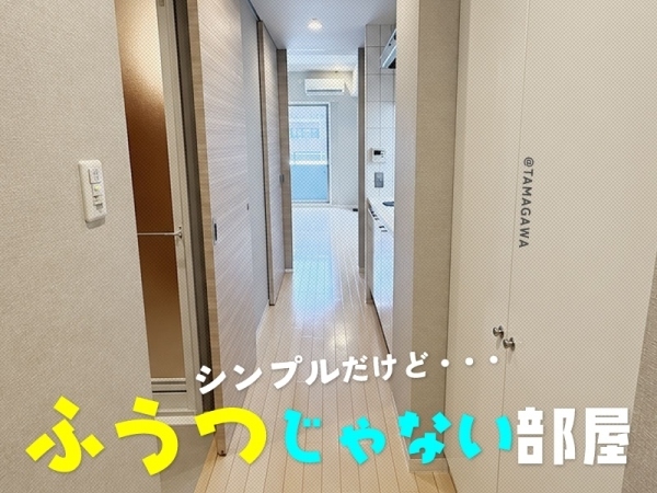 �������� ���綶�֥��ƥ���̾�פ�ʪ��β���