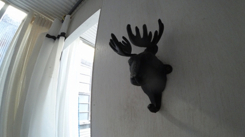 ��������� ëĮϻ���ܤλ�̳�ꡦ���ߥ��ե��� ����