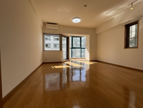 ��������� ��Į�λ�̳�ꡦ���ߥ��ե��� ����