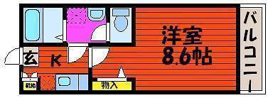  ֥ƥ̾פʪδּ