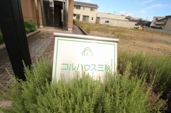 ̶ ԡ֥ƥ̾פʪβ