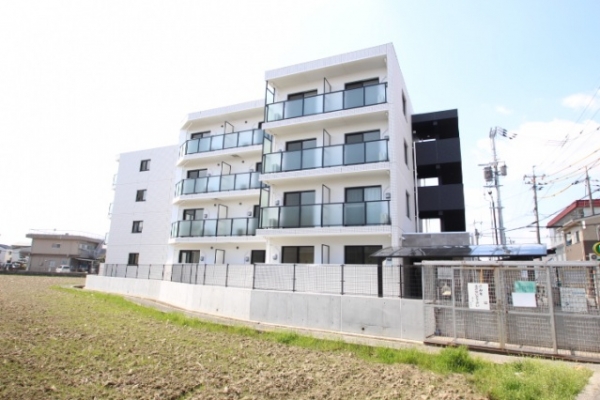 ²¬»³»ÔË̶è Ë¡³¦±¡¡Ö¥«¥Æ¥´¥ê̾¡×¤Îʪ·ï¤Î²èÁü