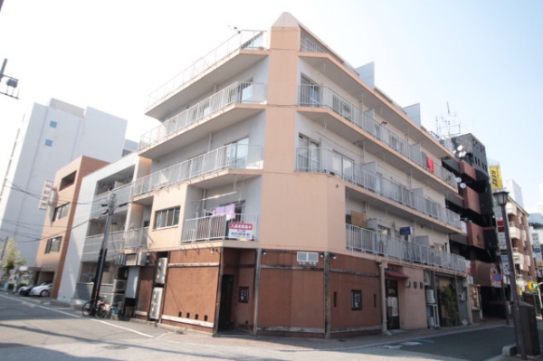 �������̶� �����֥��ƥ���̾�פ�ʪ��β���