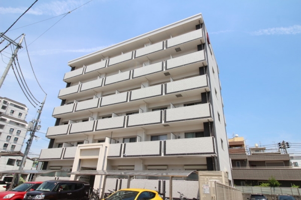 �������̶� �������֥��ƥ���̾�פ�ʪ��β���