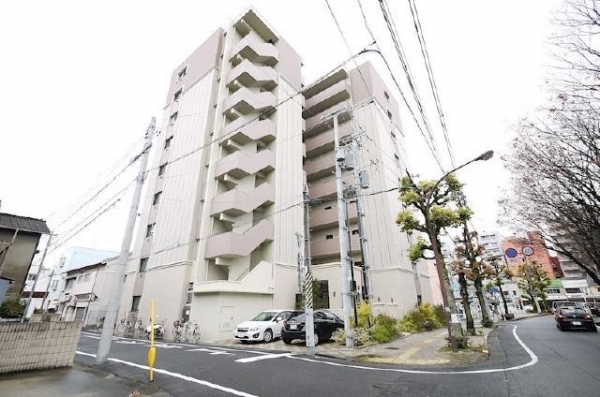 �������̶� �������֥��ƥ���̾�פ�ʪ��β���