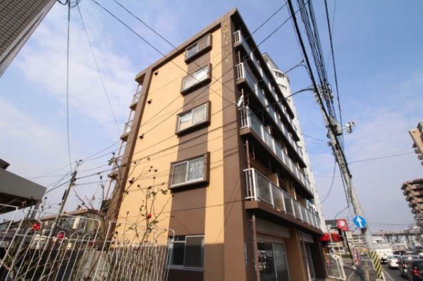 �������̶� �����֥��ƥ���̾�פ�ʪ��β���