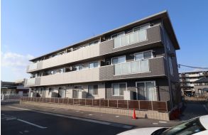 �������̶� �����֥��ƥ���̾�פ�ʪ��β���