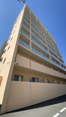 �������̶� �����֥��ƥ���̾�פ�ʪ��β���