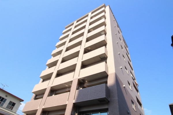 �������̶� �����֥��ƥ���̾�פ�ʪ��β���