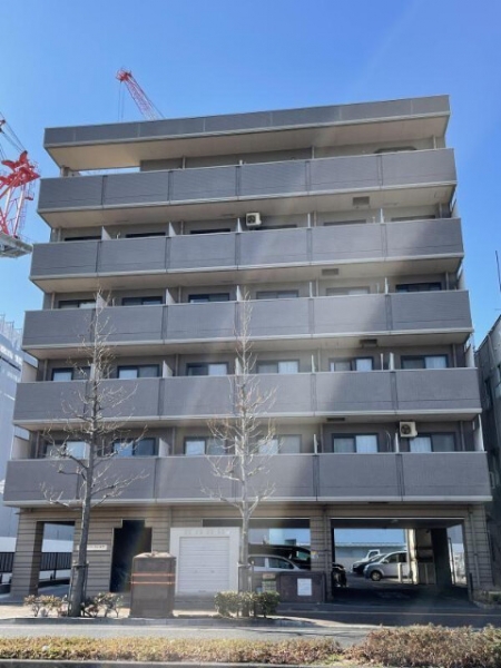 �������̶� �����Į�֥��ƥ���̾�פ�ʪ��β���