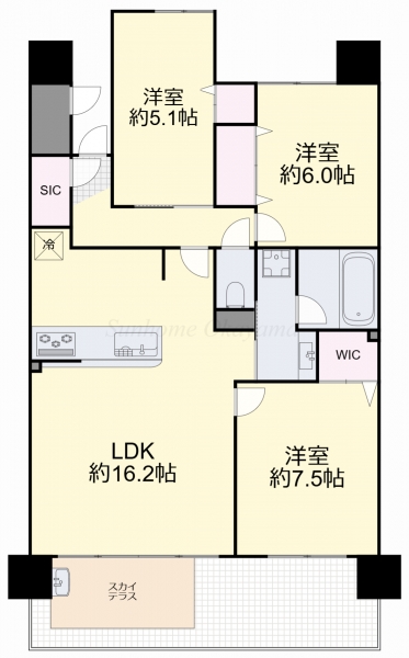 �������̶� �����֥��ƥ���̾�פ�ʪ��δּ�����