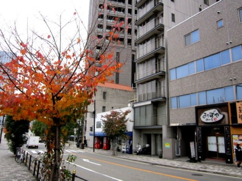 �����̶� ��嶶��Ź�ޡ��ƥʥ�����ߤβ���