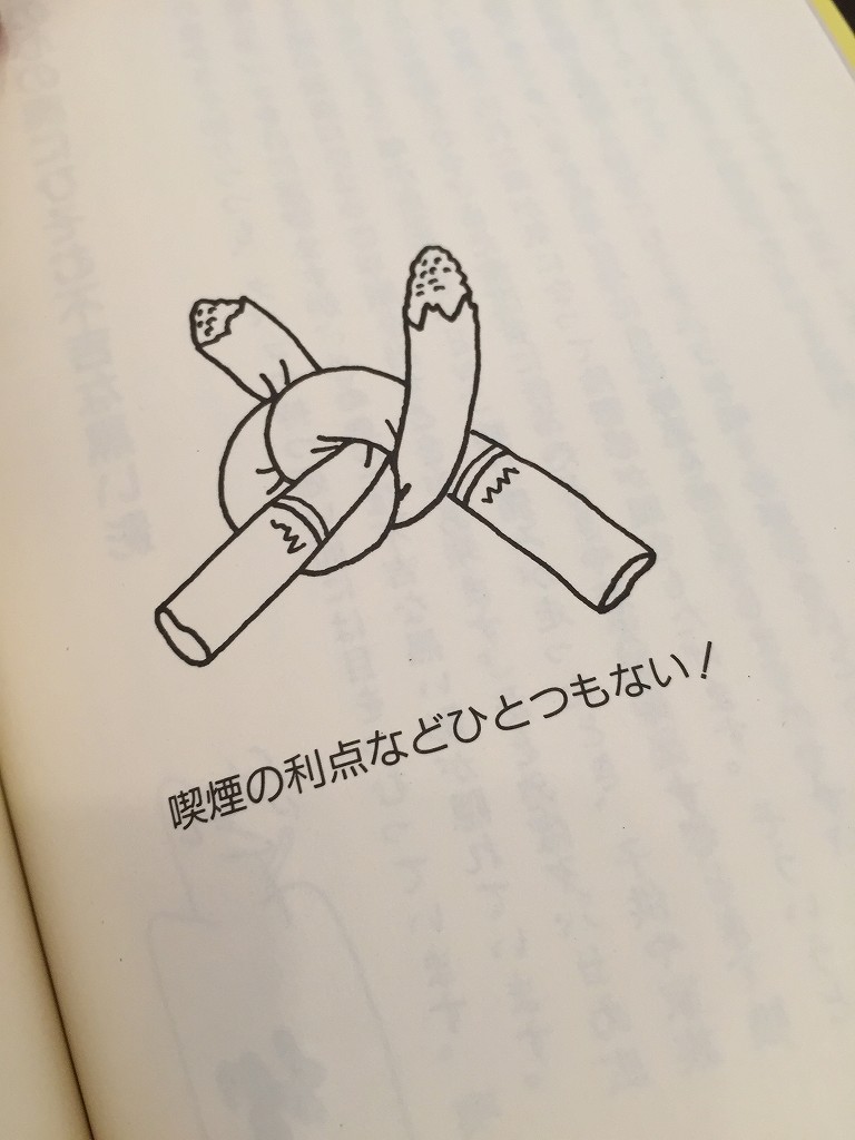 �����̶� ���Ĥ�Ź�ޡ��ƥʥ�����ߤδּ�����