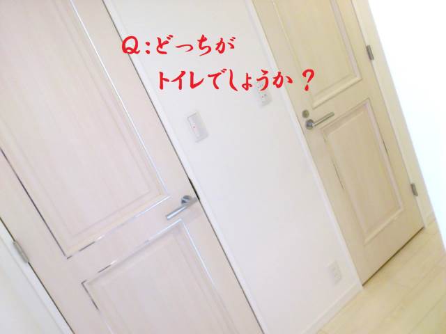 ��������� �䲰����Ź�ޡ��ƥʥ�����ߤβ���