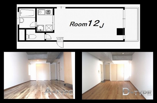 �������� ��嶶��Ź�ޡ��ƥʥ�����ߤβ���