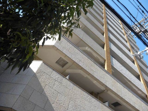 �������� ��Ĺ�٤�Ź�ޡ��ƥʥ�����ߤβ���