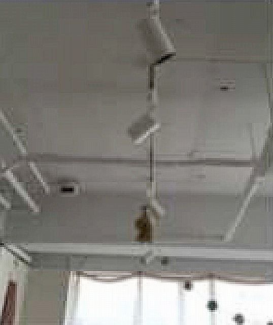 �������� ��嶶��Ź�ޡ��ƥʥ�����ߤδּ�����