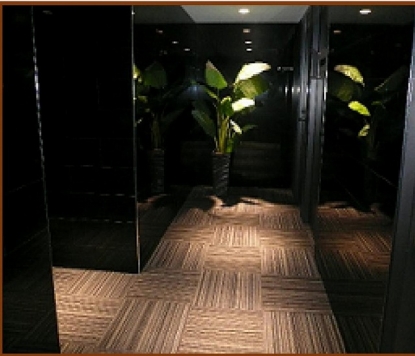 �������� �ͥĶ���Ź�ޡ��ƥʥ�����ߤβ���