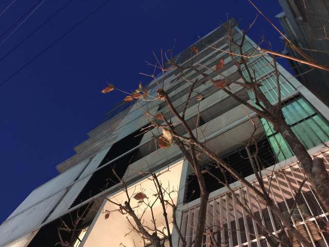 ��������� �䲰����Ź�ޡ��ƥʥ�����ߤβ���