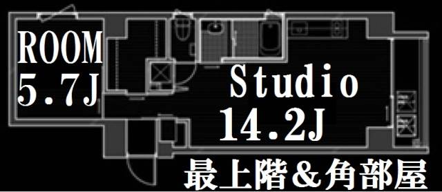 ��������� �䲰����Ź�ޡ��ƥʥ�����ߤδּ�����