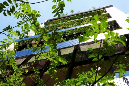 ��������� Ĺ�ٶ���Ź�ޡ��ƥʥ�����ߤβ���