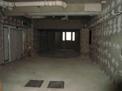 �������� ��嶶��Ź�ޡ��ƥʥ�����ߤβ���