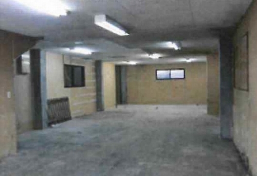 �����̶� ŷ����Ź�ޡ��ƥʥ�����ߤβ���