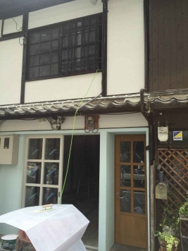 �����̶� ���Į��Ź�ޡ��ƥʥ�����ߤβ���