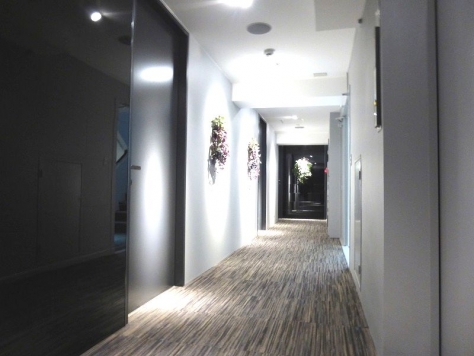 �������� �ͥĶ���Ź�ޡ��ƥʥ�����ߤβ���