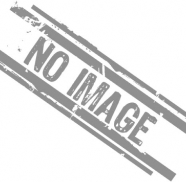 �����̶� ���Ĥ�Ź�ޡ��ƥʥ�����ߤβ���