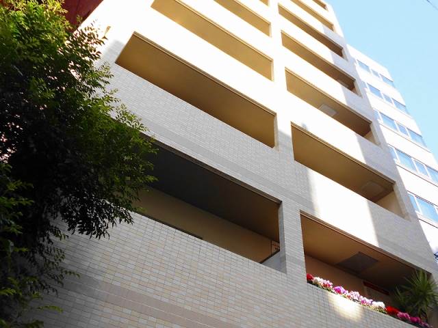 ��������� �䲰����Ź�ޡ��ƥʥ�����ߤβ���