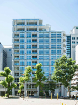 �������� �ͥĶ���Ź�ޡ��ƥʥ�����ߤβ���