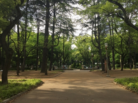 �������� ��Į��Ź�ޡ��ƥʥ�����ߤβ���