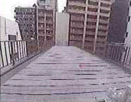 �������� �ͥĶ���Ź�ޡ��ƥʥ�����ߤβ���