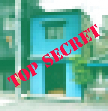 �������� �ͥĶ���Ź�ޡ��ƥʥ�����ߤβ���