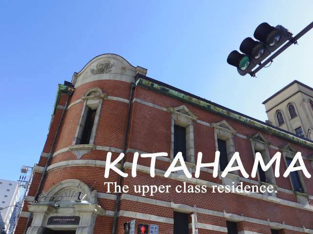 ��������� �䲰����Ź�ޡ��ƥʥ�����ߤβ���