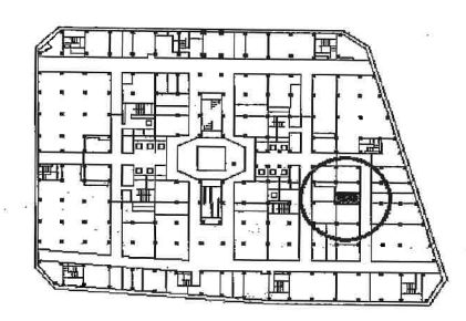 �����̶� �����Ĥ�Ź�ޡ��ƥʥ�����ߤδּ�����