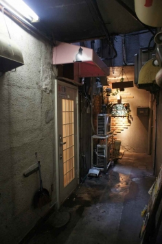 �����̶� ���Ĥ�Ź�ޡ��ƥʥ�����ߤβ���