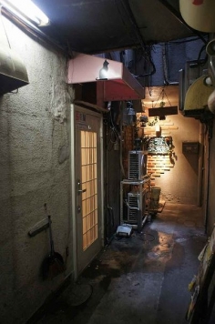 �����̶� ���Ĥ�Ź�ޡ��ƥʥ�����ߤβ���