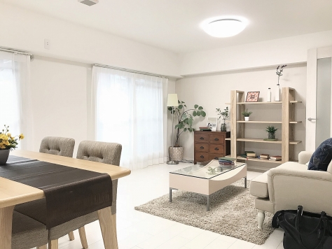 �����̶� ���Ĥ�Ź�ޡ��ƥʥ�����ߤβ���