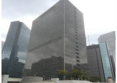 �����̶� ���Ĥ�Ź�ޡ��ƥʥ�����ߤβ���