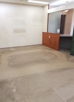 ����ŷ������ ��ë��Ź�ޡ��ƥʥ�����ߤβ���