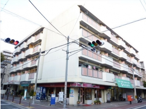 ���������� �ж���Ź�ޡ��ƥʥ�����ߤβ���