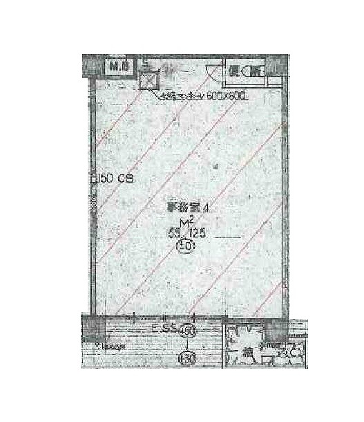 ����ŷ������ ��ë��Ź�ޡ��ƥʥ�����ߤδּ�����