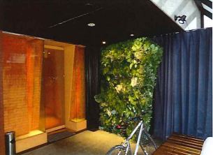 ��������� ���ض���Ź�ޡ��ƥʥ�����ߤβ���