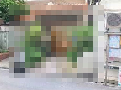 �����̶� ��Į��Ź�ޡ��ƥʥ�����ߤβ���