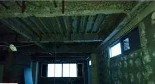 ��������� �ʤ�Ф�Ź�ޡ��ƥʥ�����ߤβ���