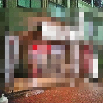 ��� �����Ź�ޡ��ƥʥ�����ߤβ���