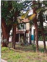 �������� ��嶶��Ź�ޡ��ƥʥ�����ߤβ���