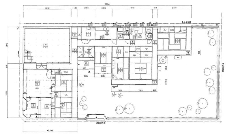 ���԰������ ����Į��Ź�ޡ��ƥʥ�����ߤδּ�����